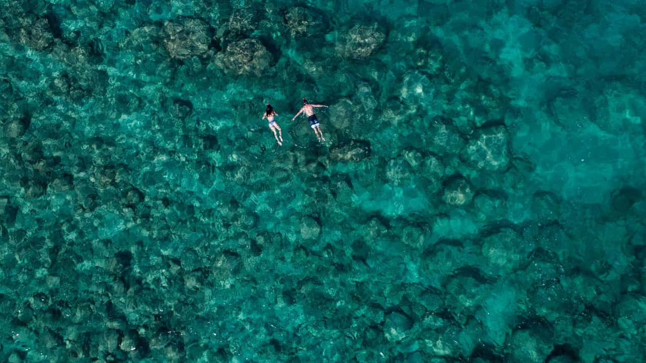Kensington Expeditions