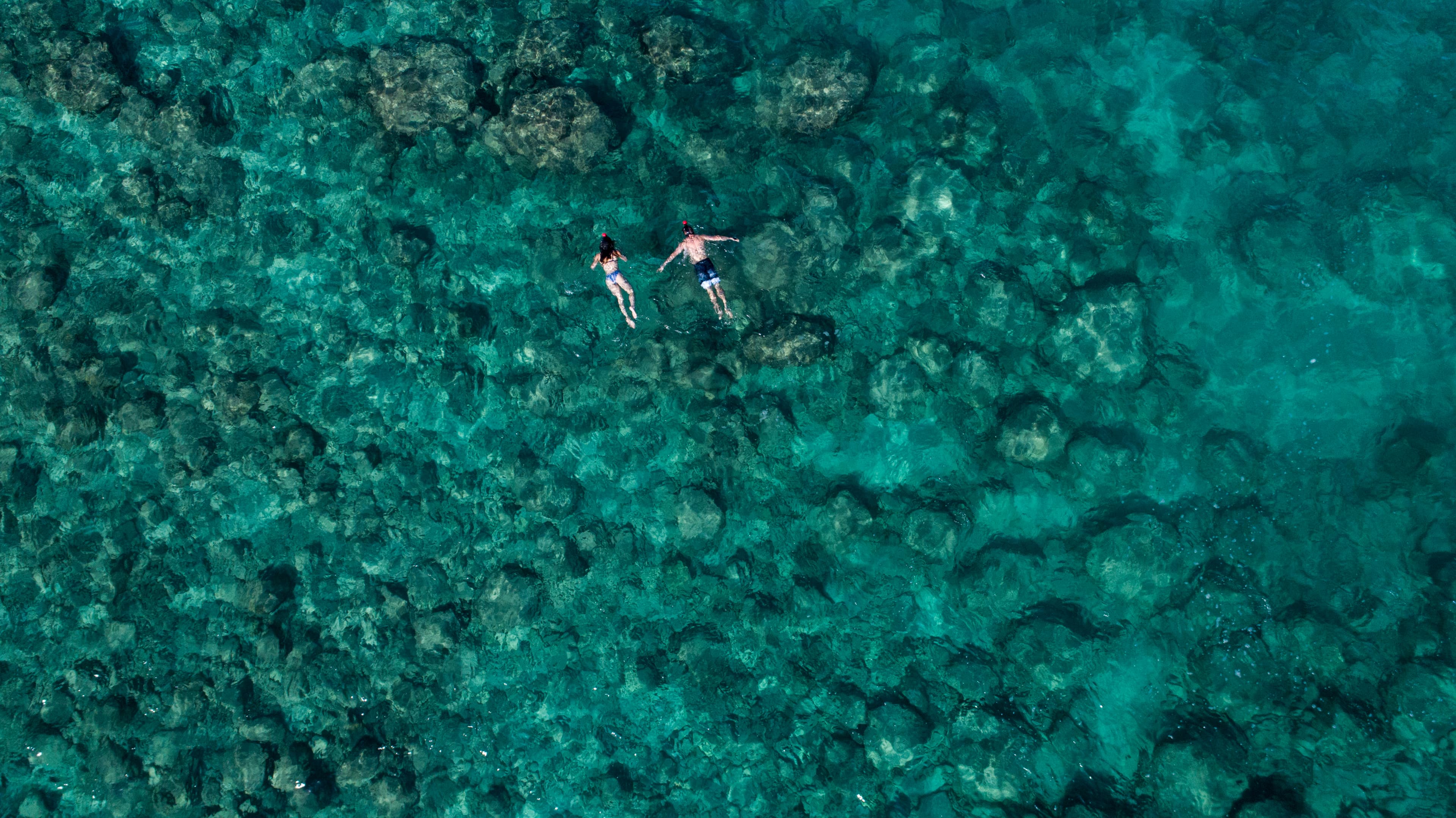 Kensington Expeditions